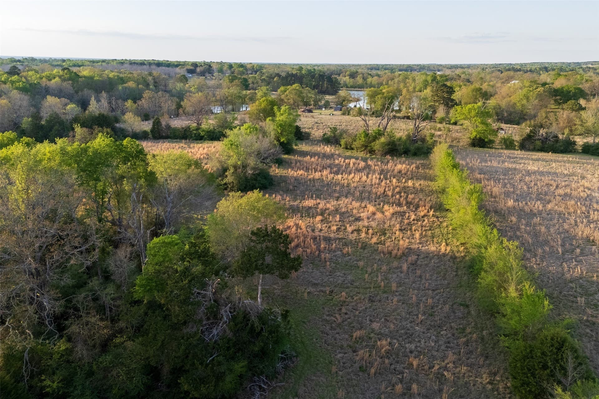 29 acres in Anderson County - photo 21