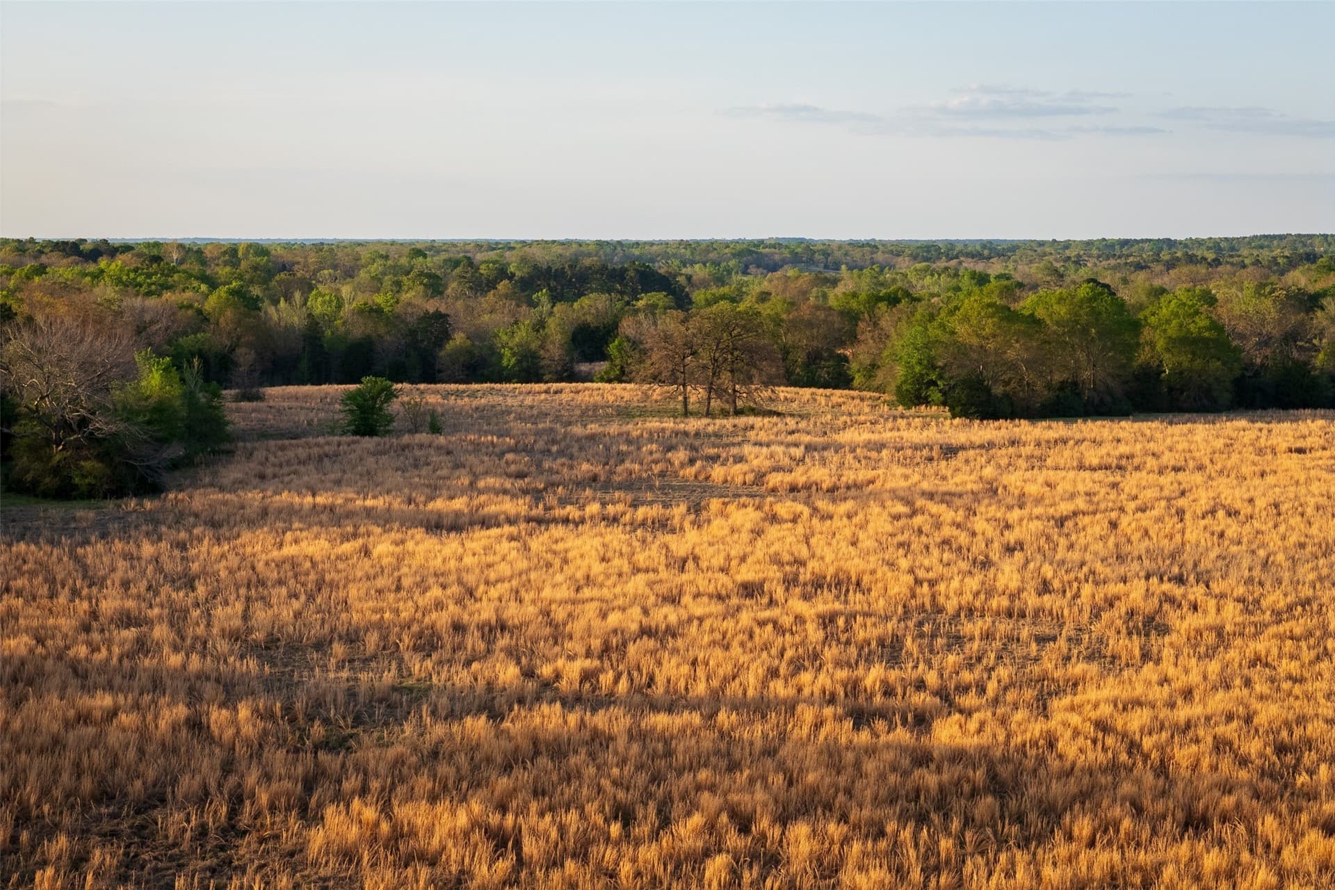 29 acres in Anderson County - photo 11