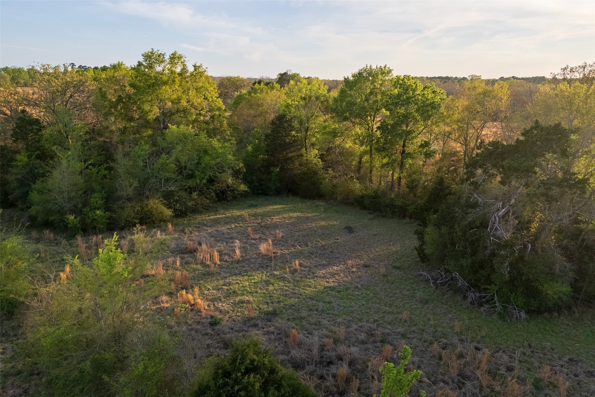 29 acres in Anderson County - photo 6