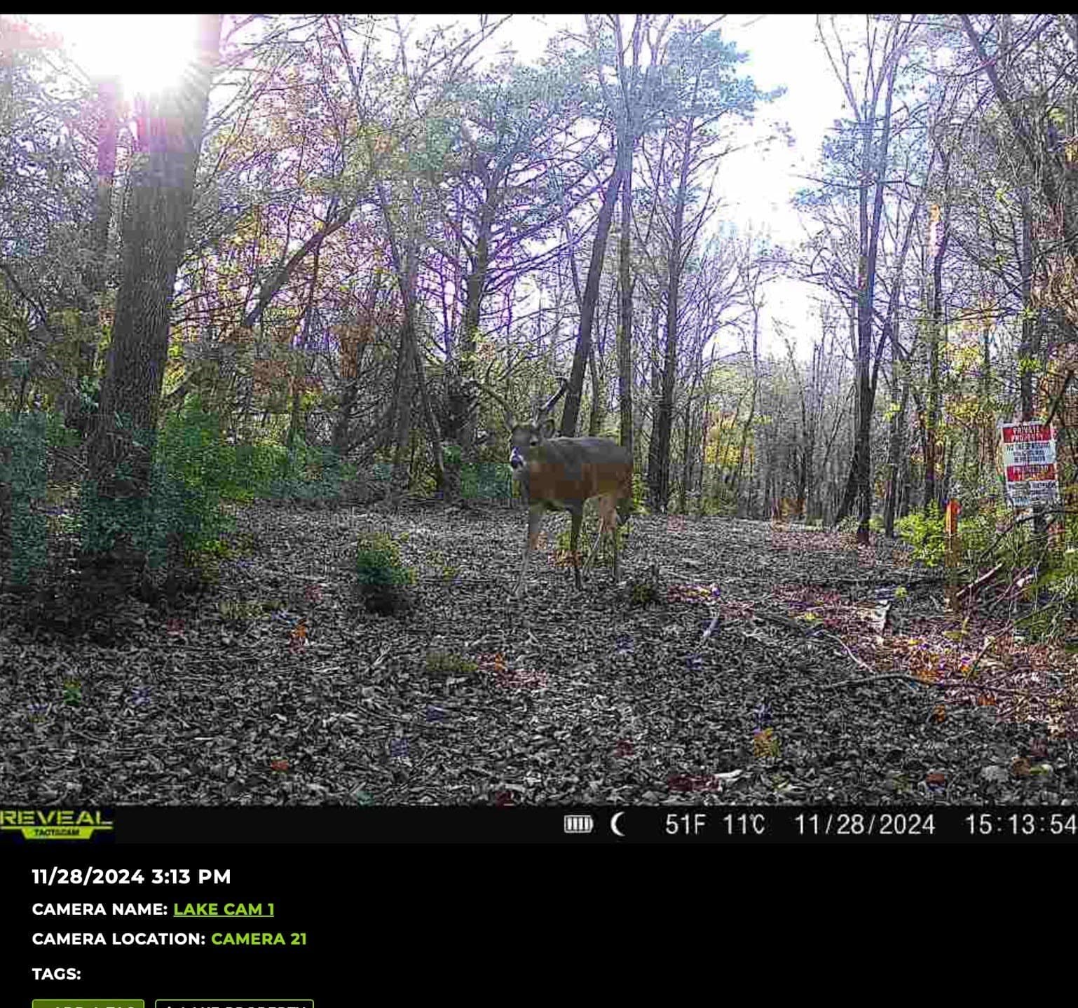 5.23 acres in Grayson County - photo 30