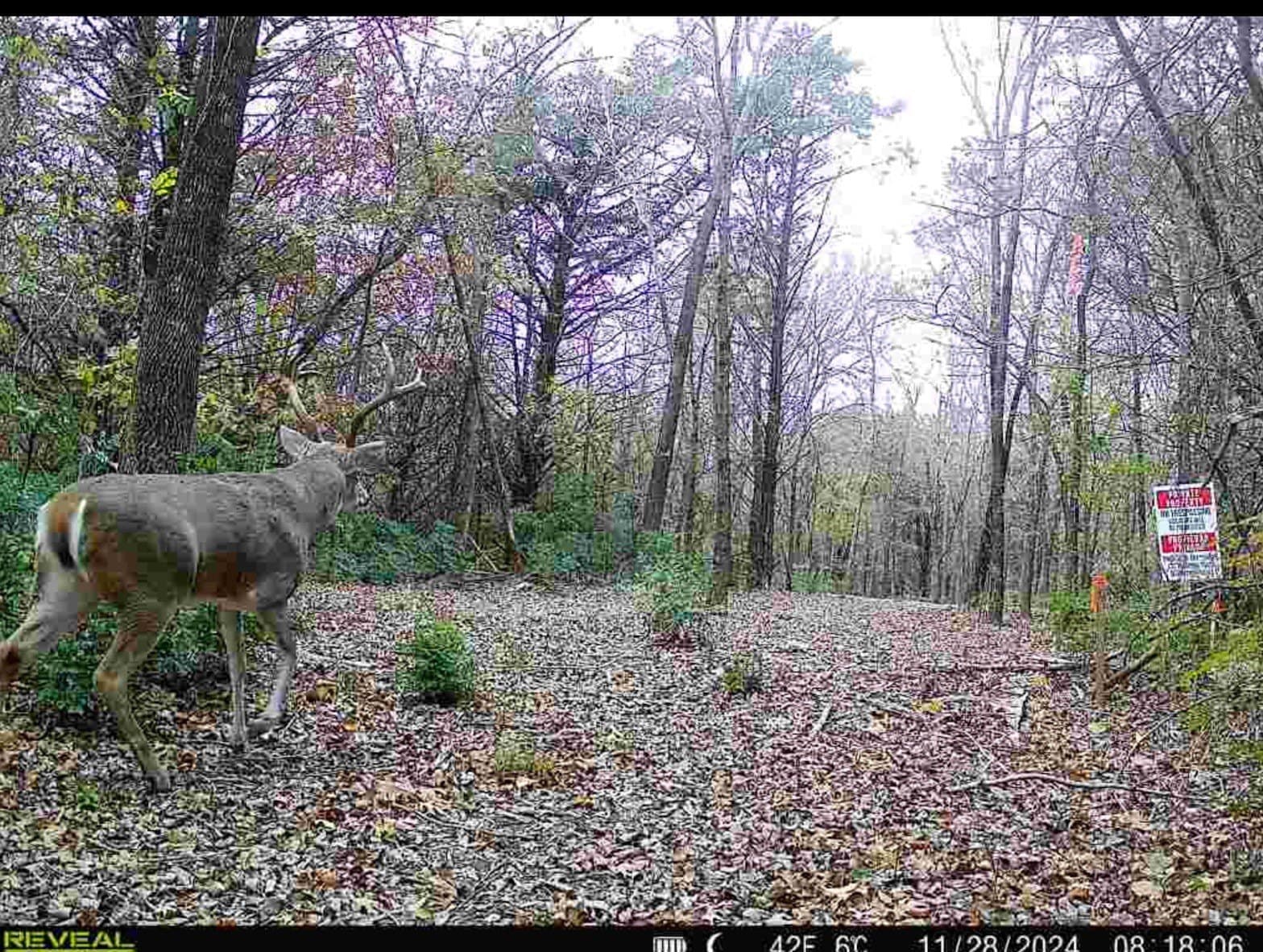 5.23 acres in Grayson County - photo 31