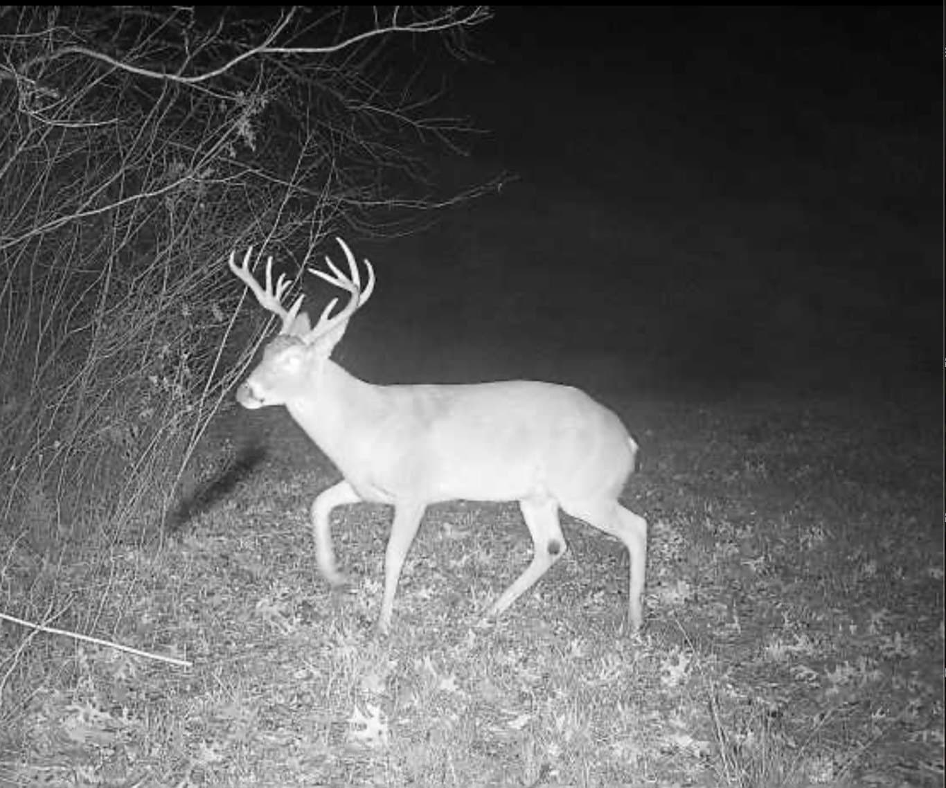 5.23 acres in Grayson County - photo 27