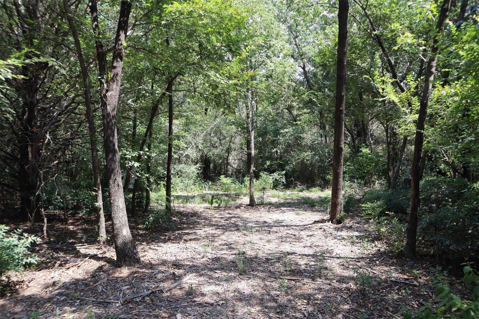 5.23 acres in Grayson County - photo 23