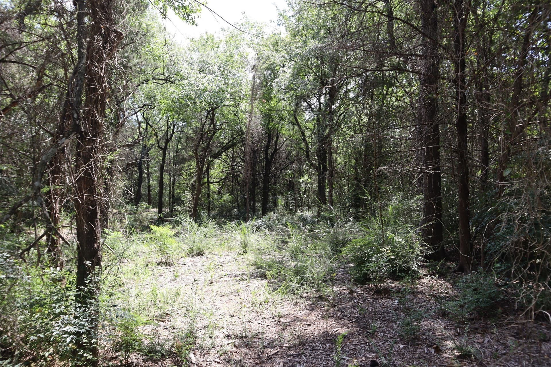 5.23 acres in Grayson County - photo 25