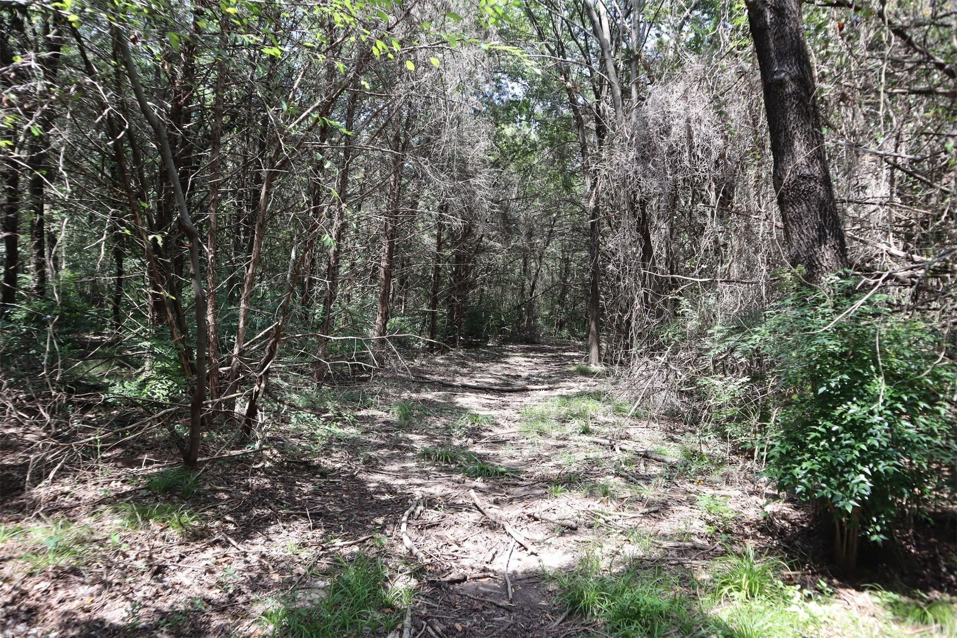 5.23 acres in Grayson County - photo 24