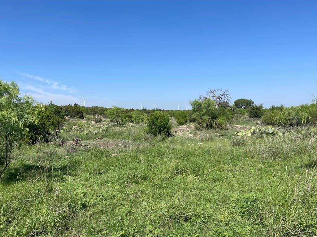 3,176 acres in Tom Green County - photo 7