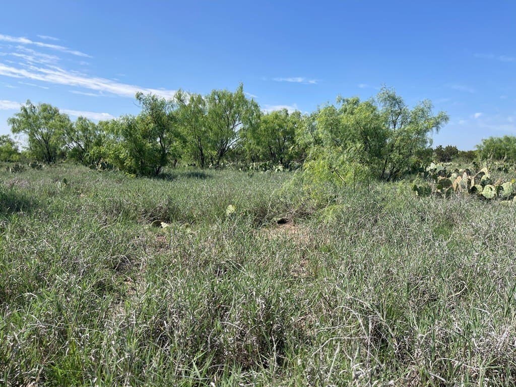 3,176 acres in Tom Green County - photo 9