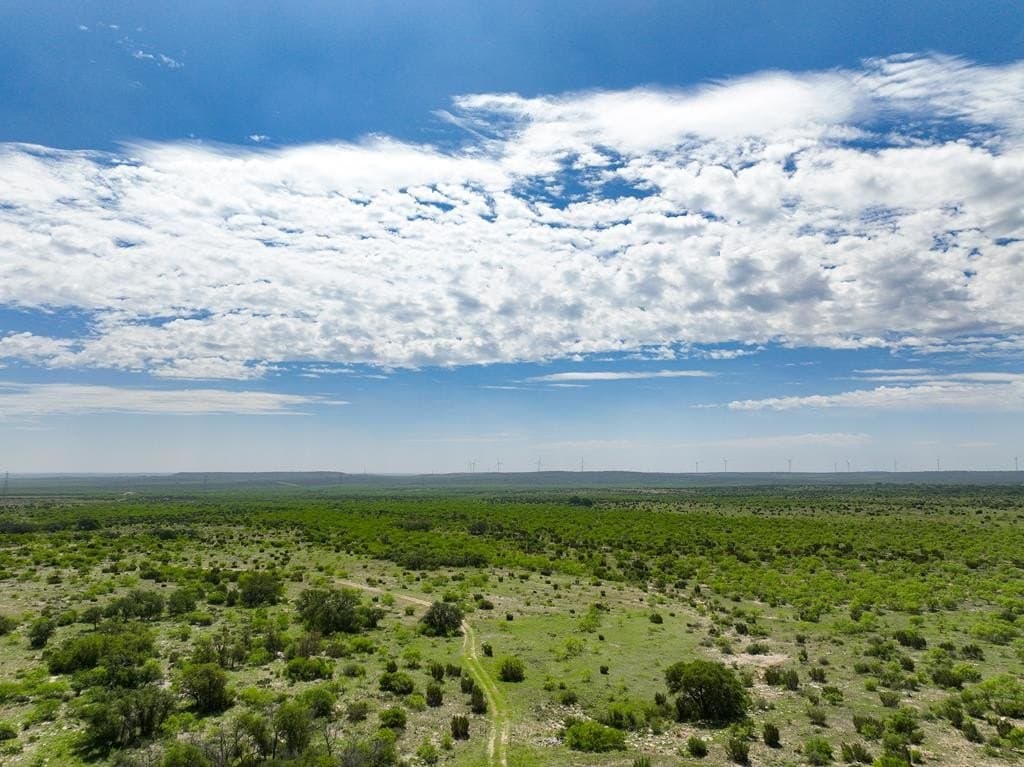 3,176 acres in Tom Green County - photo 62