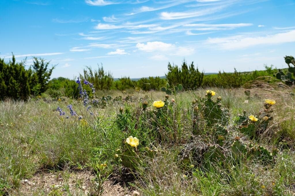 3,176 acres in Tom Green County - photo 63