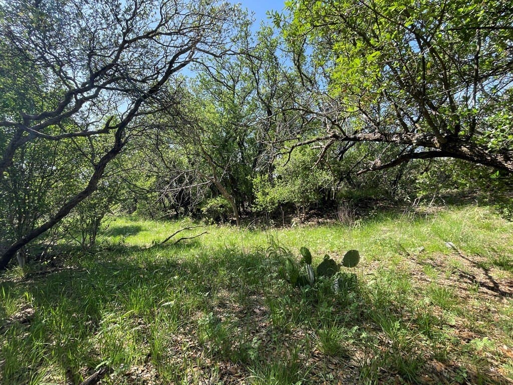 3,176 acres in Tom Green County - photo 50
