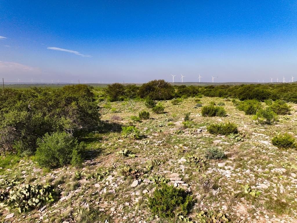 3,176 acres in Tom Green County - photo 58