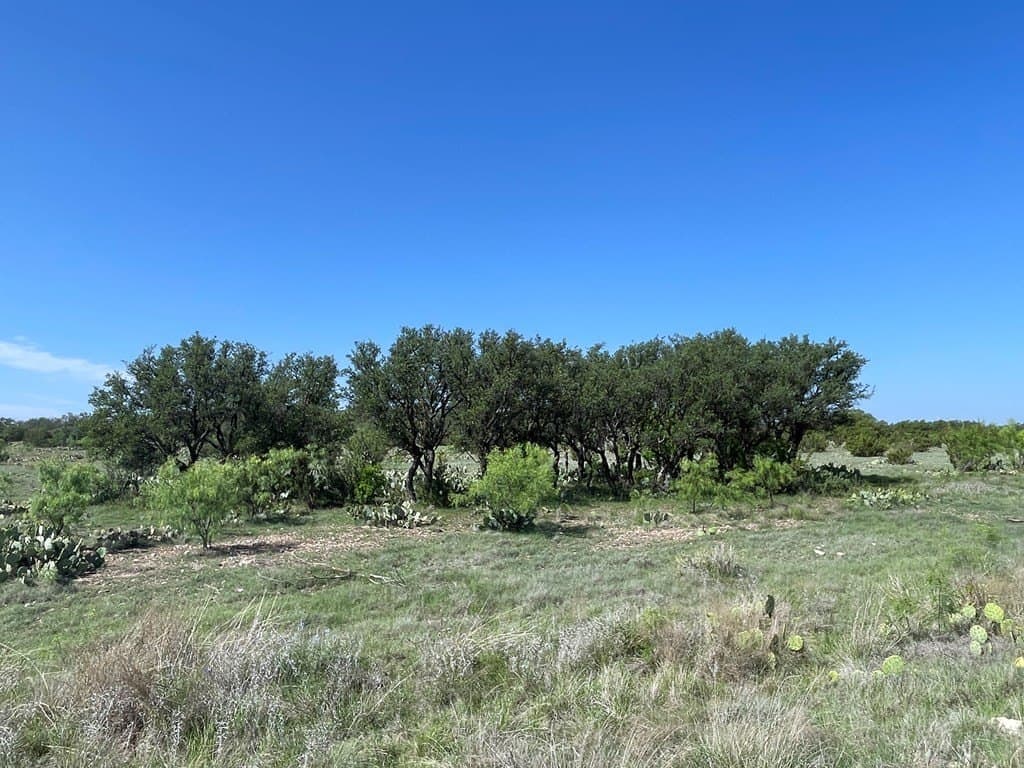 3,176 acres in Tom Green County - photo 4