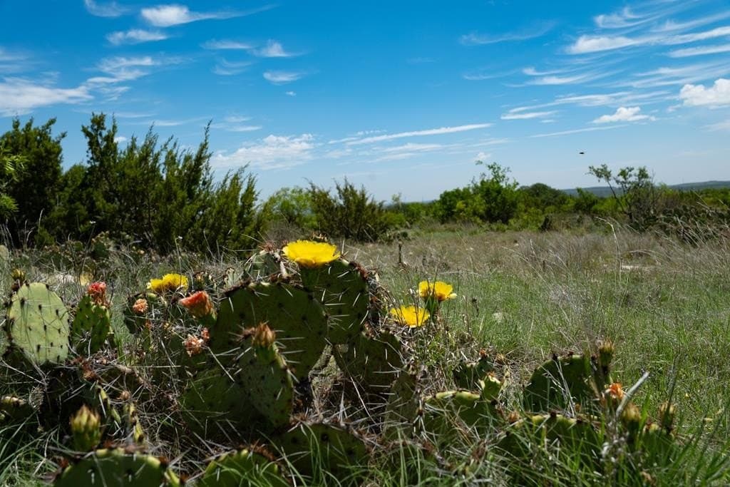 3,176 acres in Tom Green County - photo 52