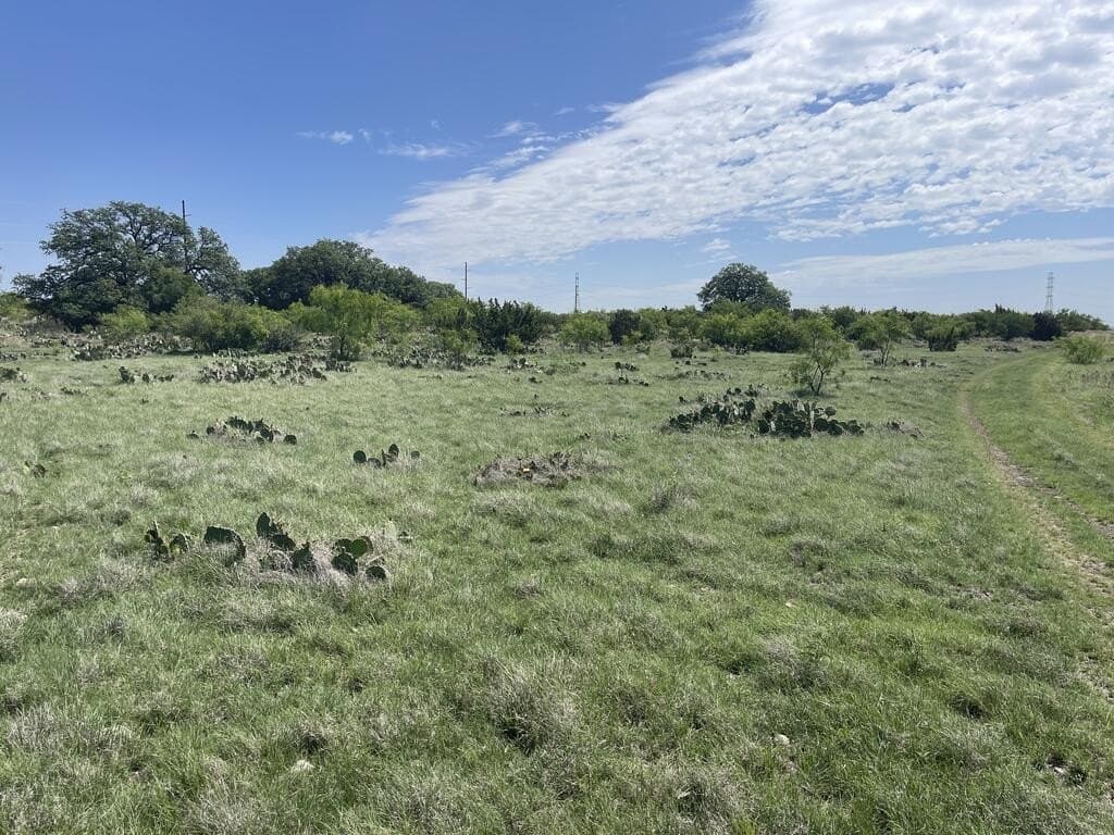 3,176 acres in Tom Green County - photo 5