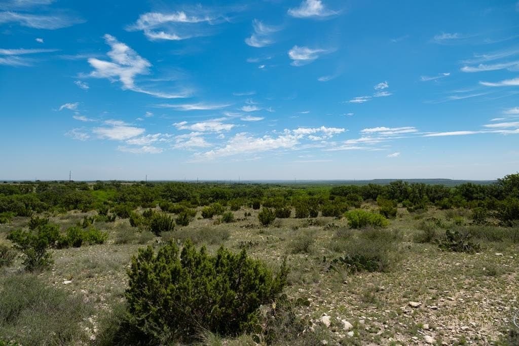 3,176 acres in Tom Green County - photo 60