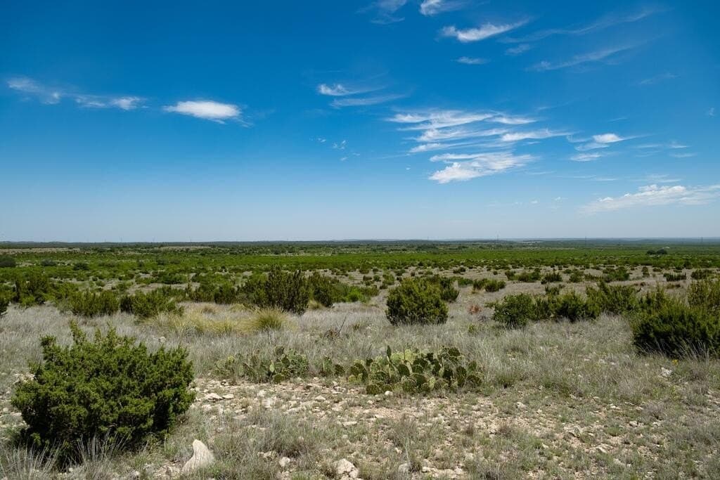 3,176 acres in Tom Green County - photo 64