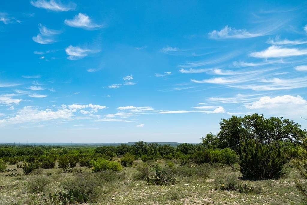 3,176 acres in Tom Green County - photo 61