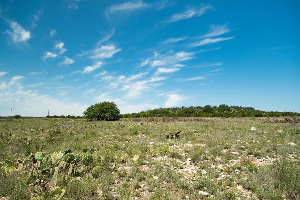 3,176 acres in Tom Green County - photo 57