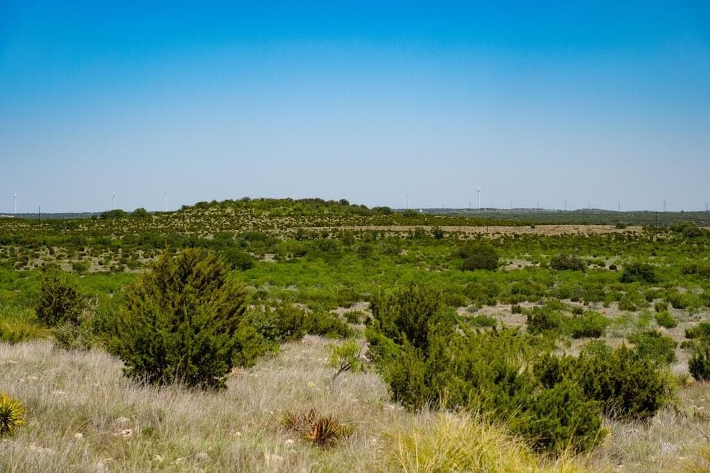 3,176 acres in Tom Green County - photo 66