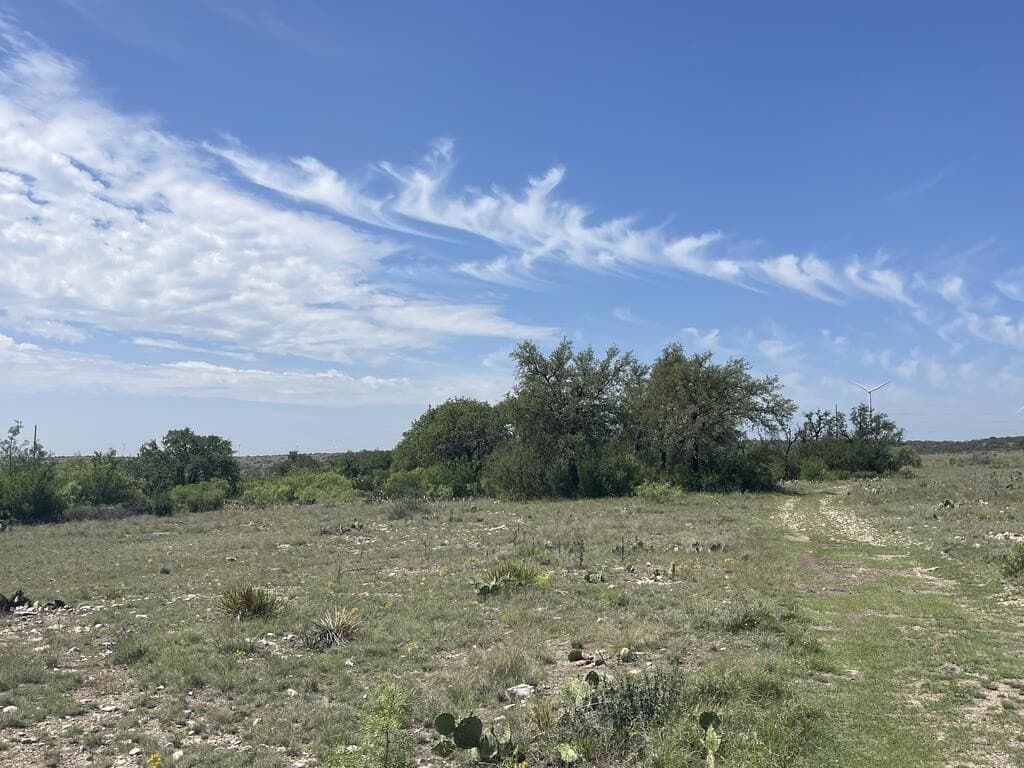 3,176 acres in Tom Green County - photo 6