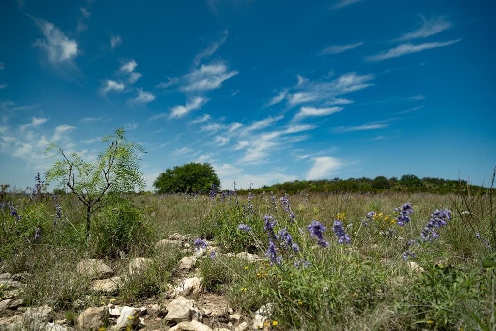 3,176 acres in Tom Green County - photo 54