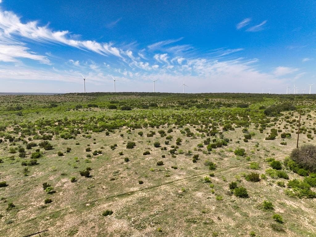 3,176 acres in Tom Green County - photo 51