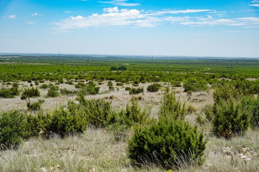 3,176 acres in Tom Green County - photo 65