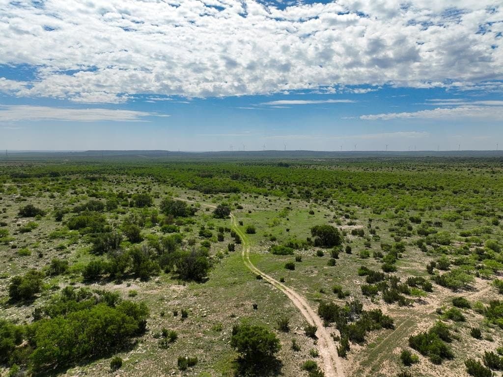 3,176 acres in Tom Green County - photo 56