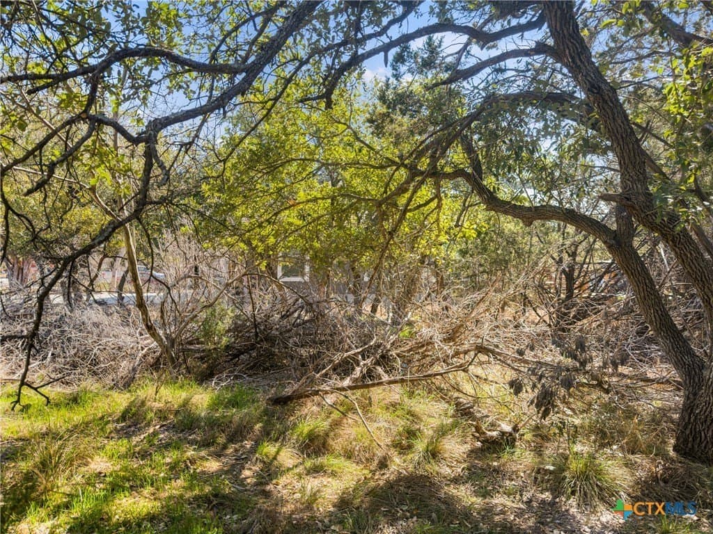0.22 acres in Comal County gallery image 2
