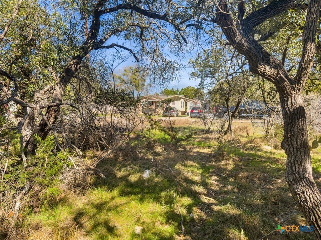 0.22 acres in Comal County gallery image 4
