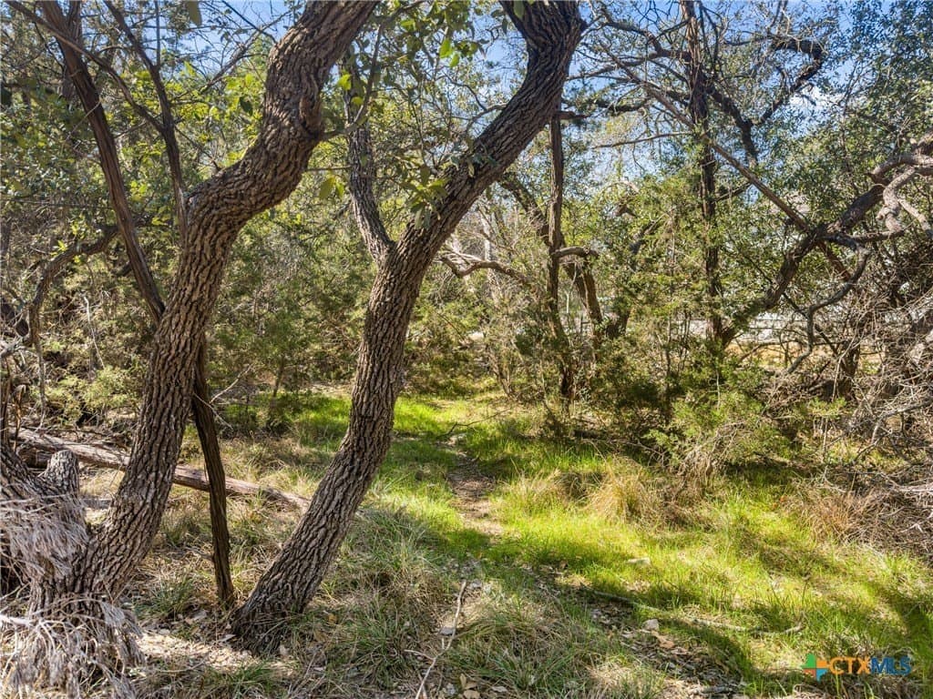 0.22 acres in Comal County gallery image 3