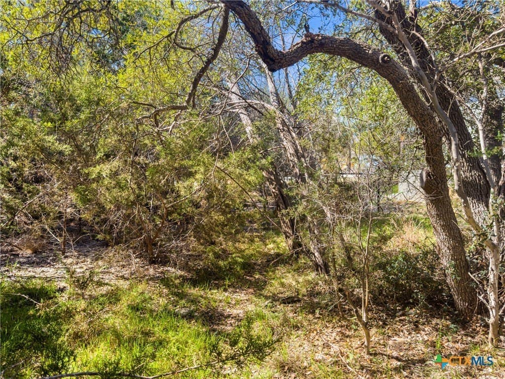 0.22 acres in Comal County featured view