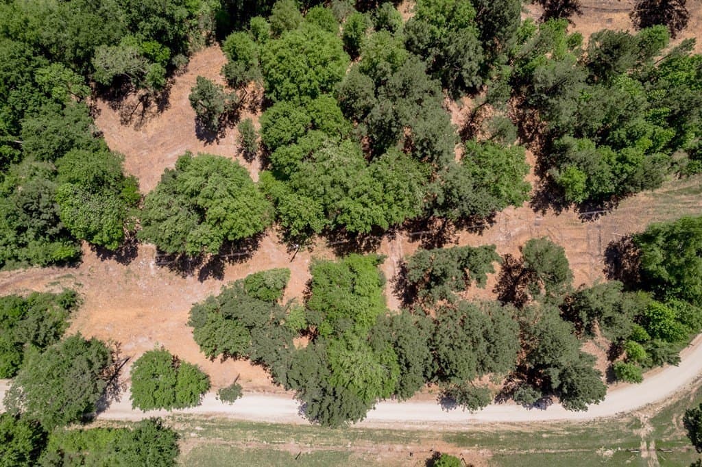 1.32 acres in HOUSTON County gallery image 2