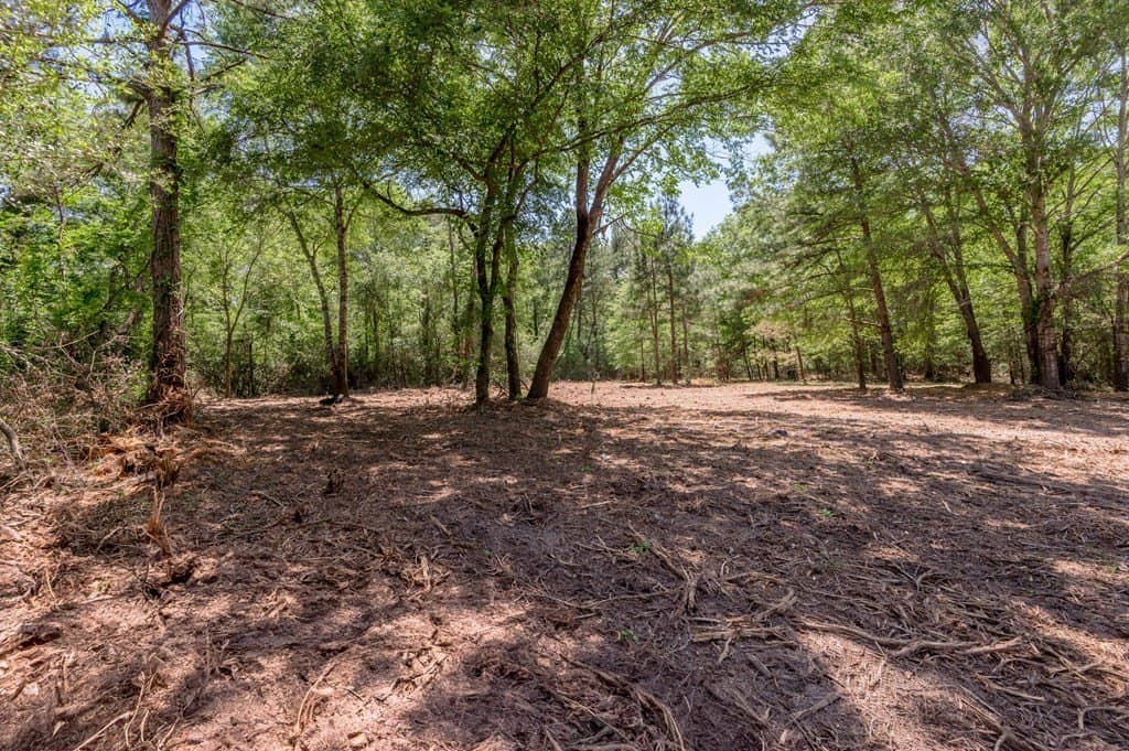 1.32 acres in HOUSTON County gallery image 4