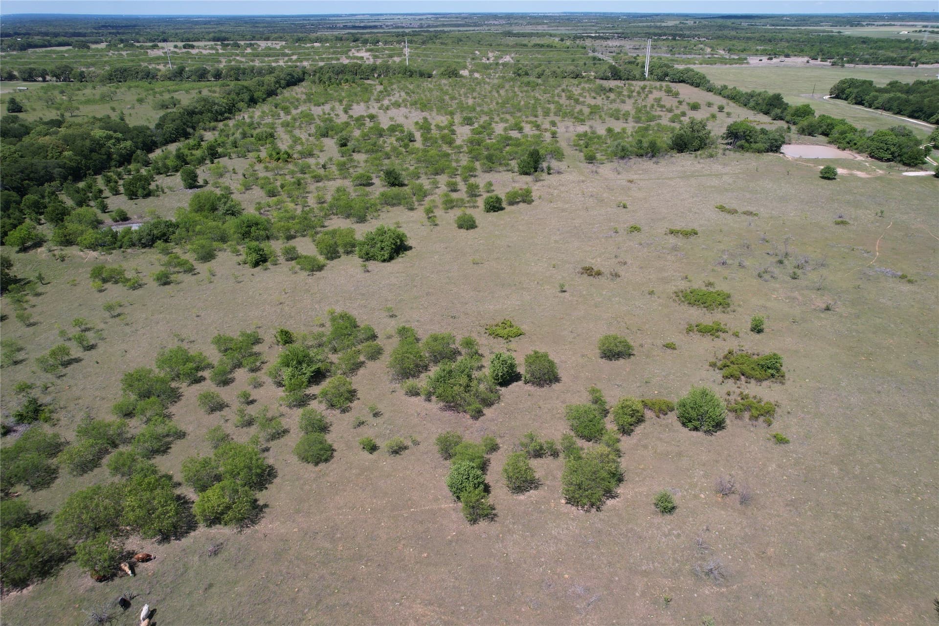 50.43 acres in Hill County - photo 10