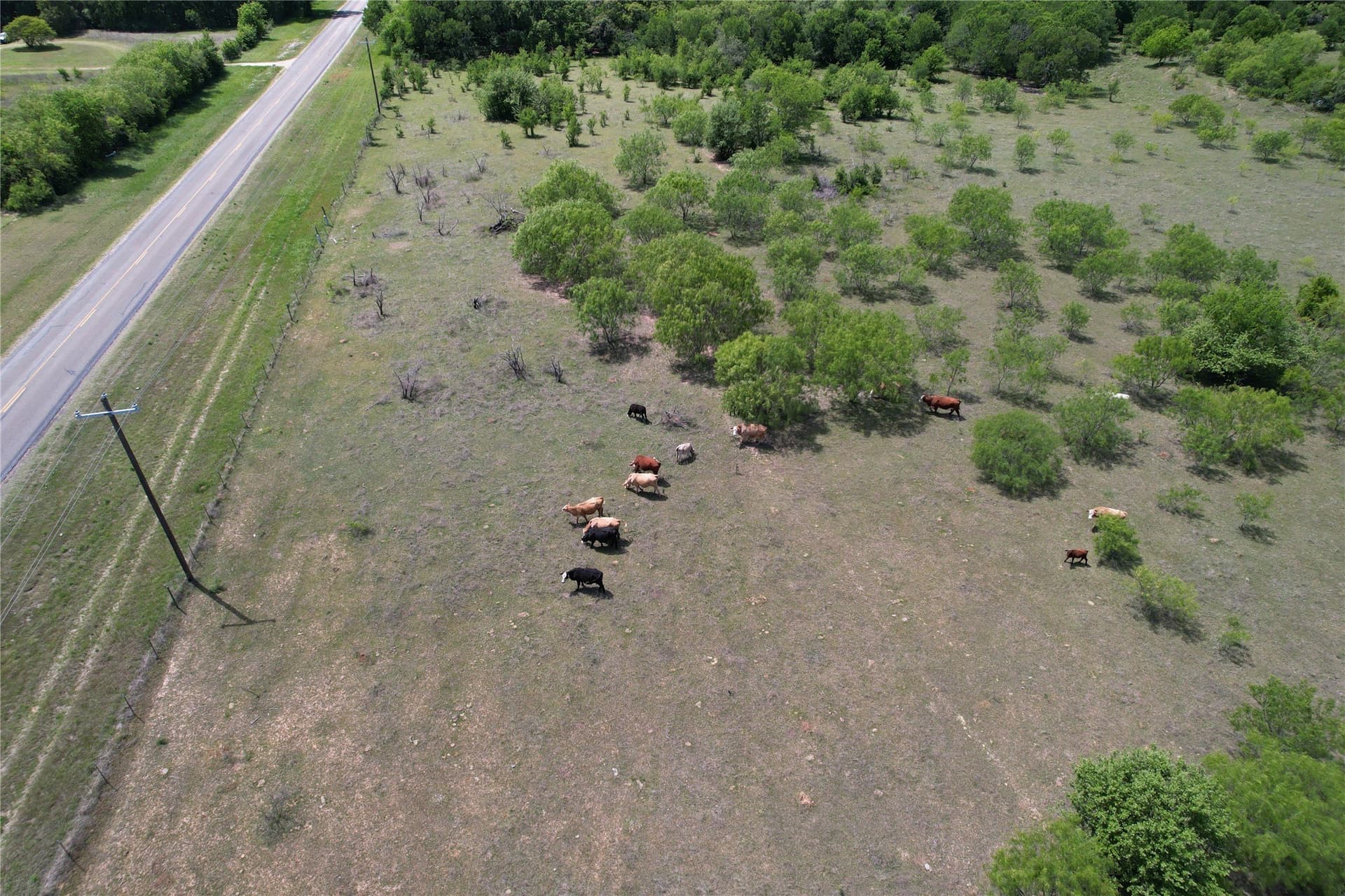 50 acres in Hill County gallery image 4