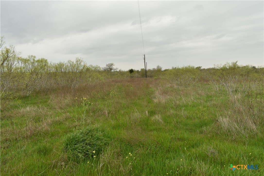 7.41 acres in Bastrop County - photo 9
