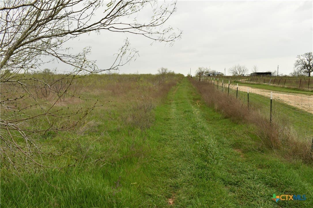 7.41 acres in Bastrop County - photo 8