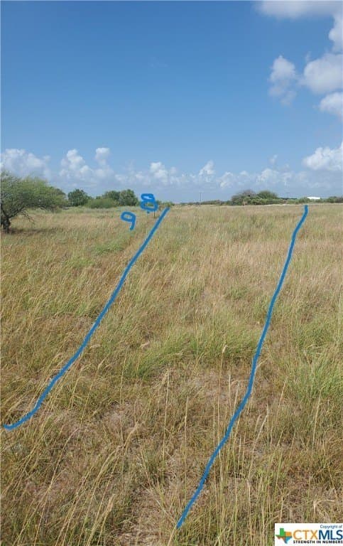 0.33 acres in Calhoun County gallery image 4