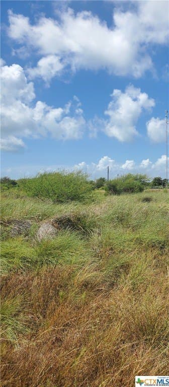 0.33 acres in Calhoun County gallery image 2