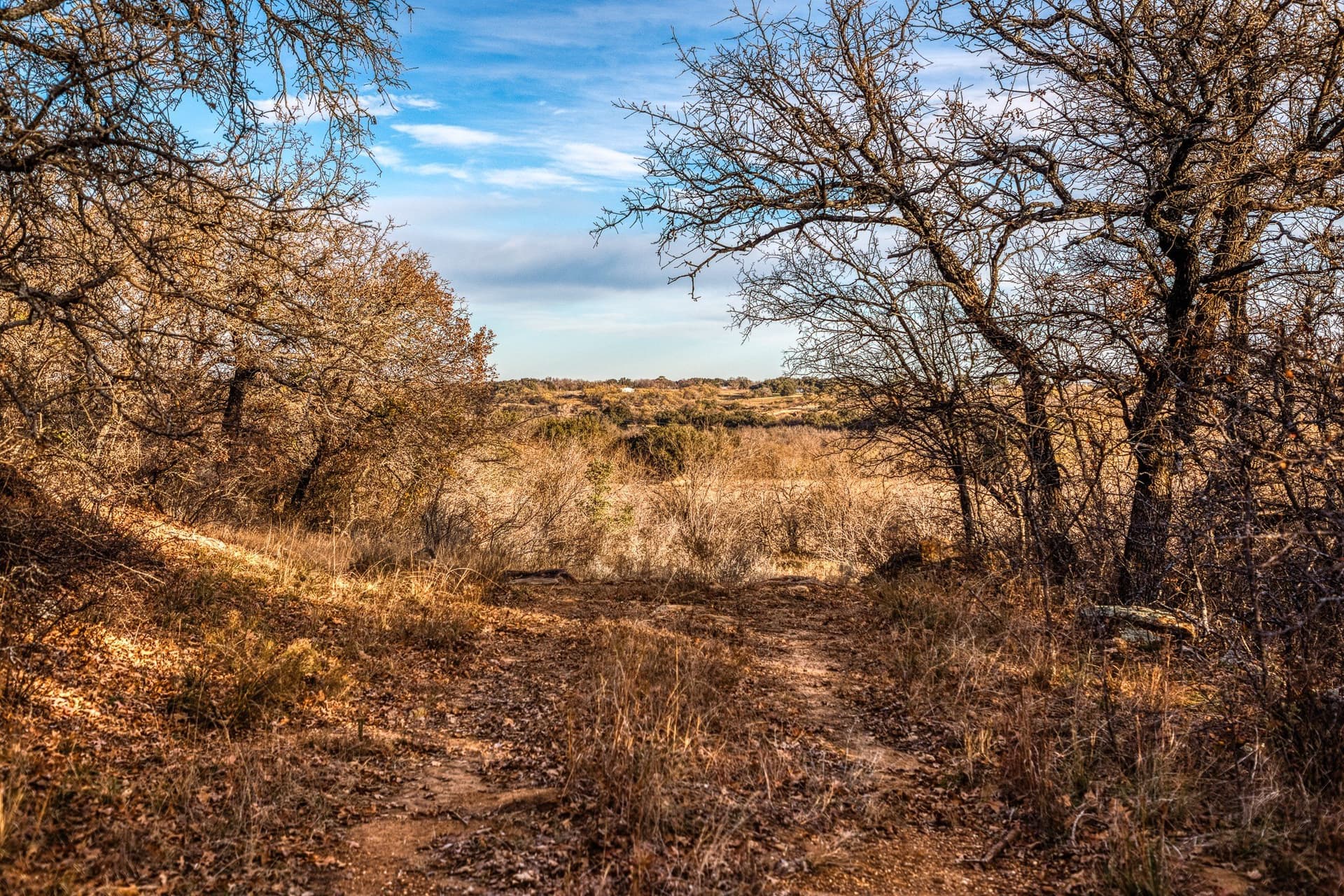 250 acres in Young County featured view