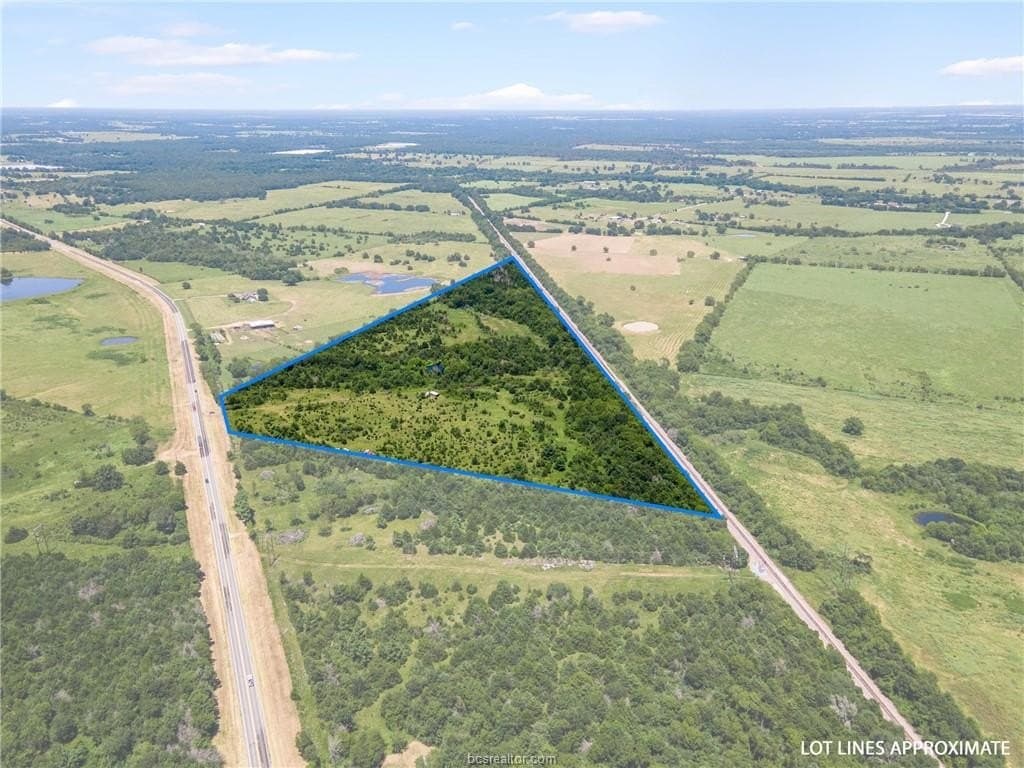 39.12 acres in Leon County gallery image 3