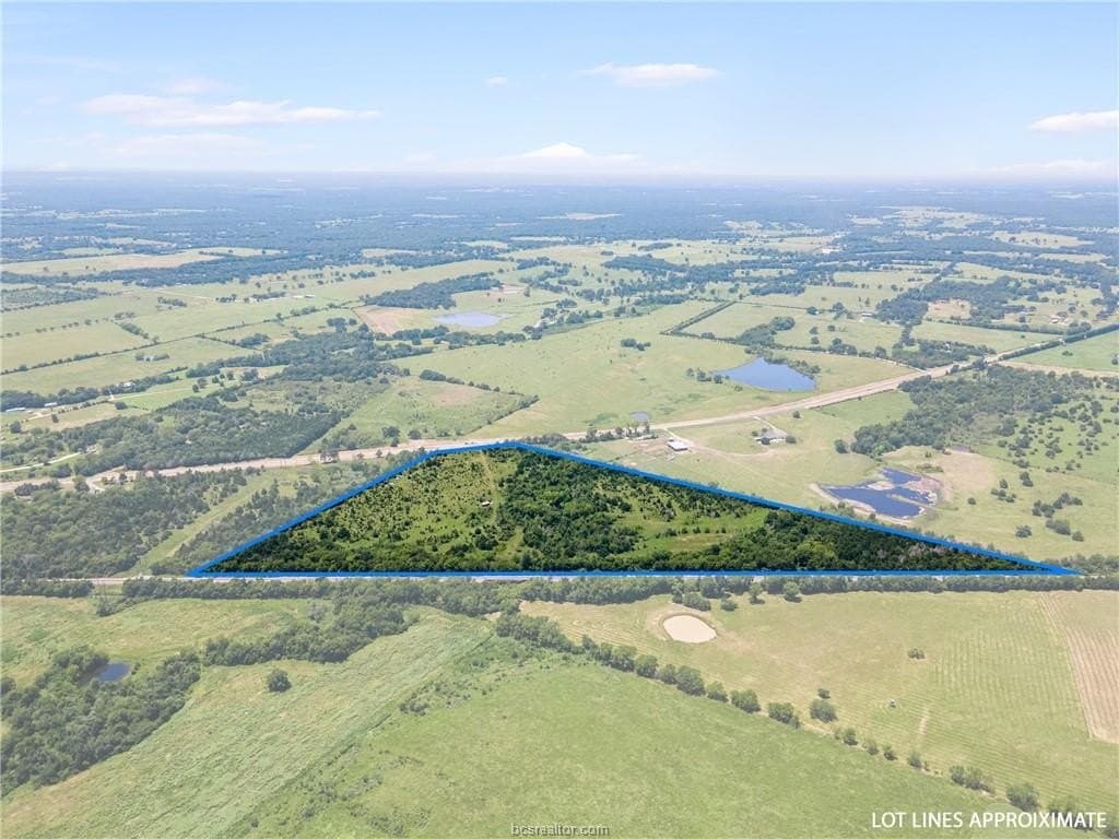 39.12 acres in Leon County gallery image 4