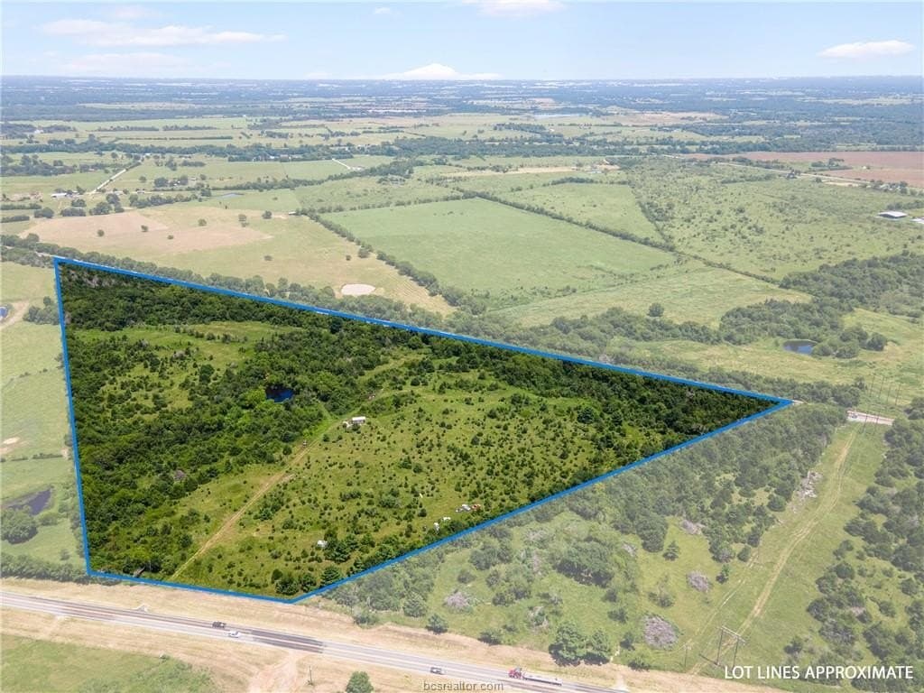 39.12 acres in Leon County gallery image 2