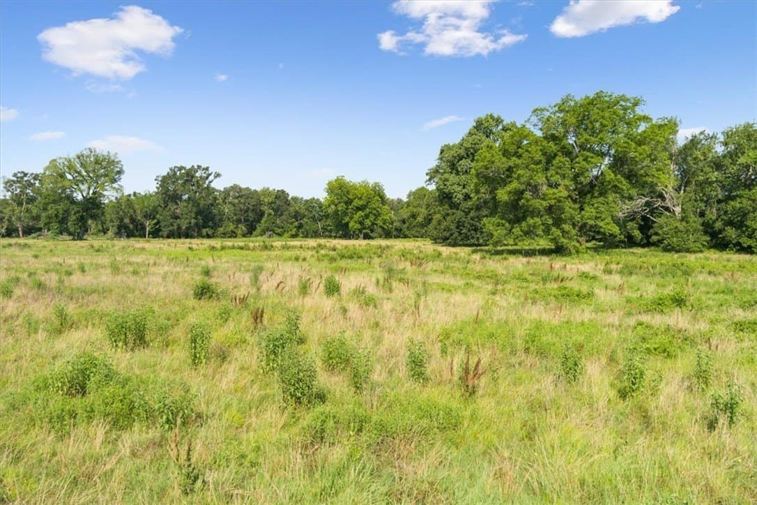 20.04 acres in Limestone County - photo 13