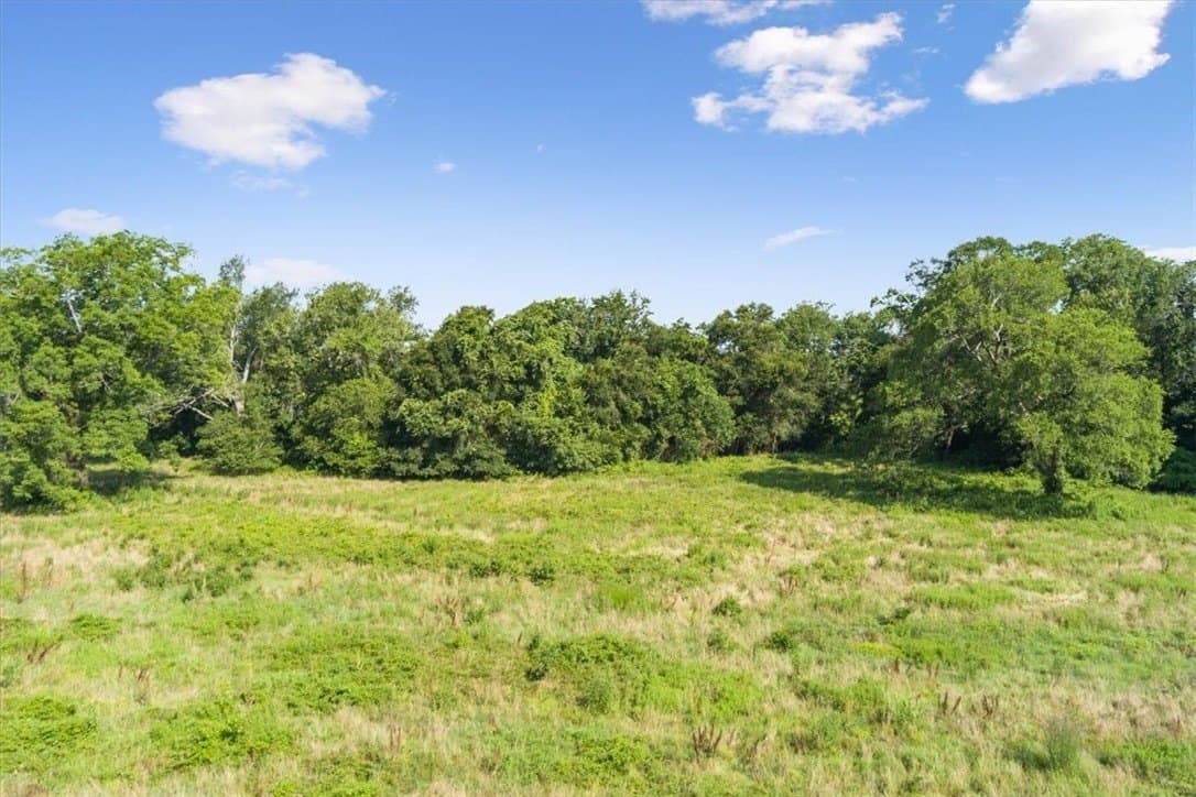 20.04 acres in Limestone County - photo 9