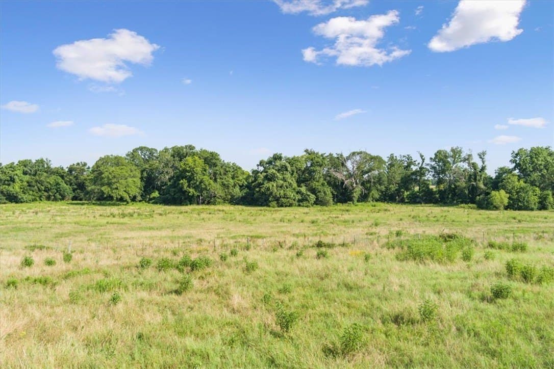 20.04 acres in Limestone County - photo 15