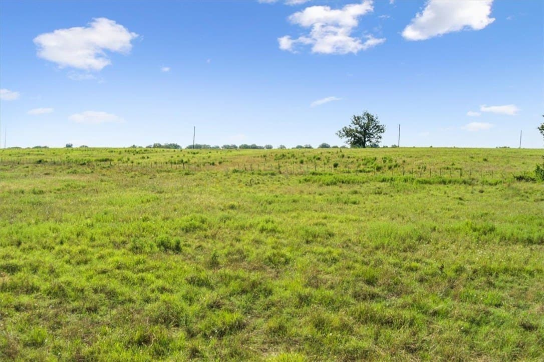 20.04 acres in Limestone County - photo 11