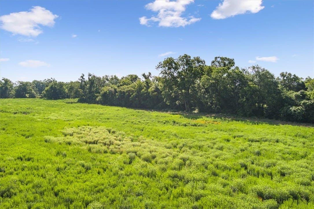 20.04 acres in Limestone County - photo 8