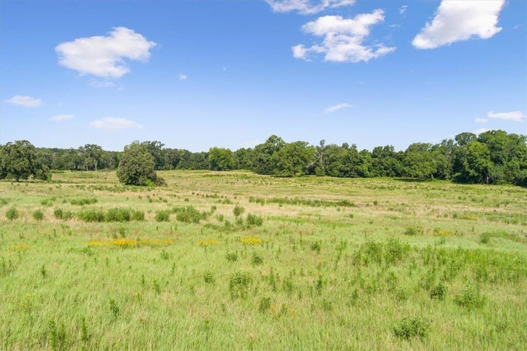 20.04 acres in Limestone County - photo 18